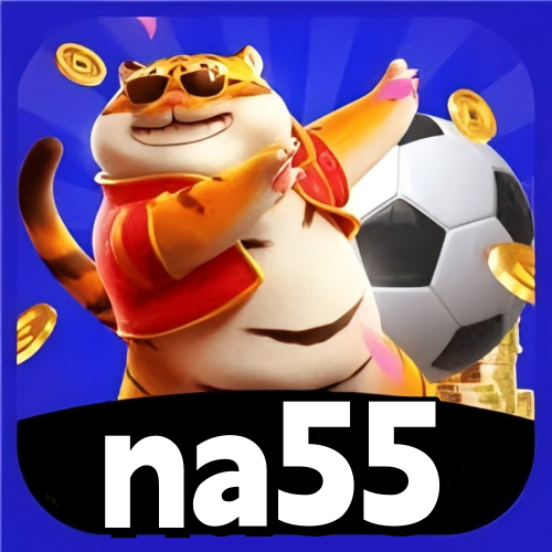 na55.com